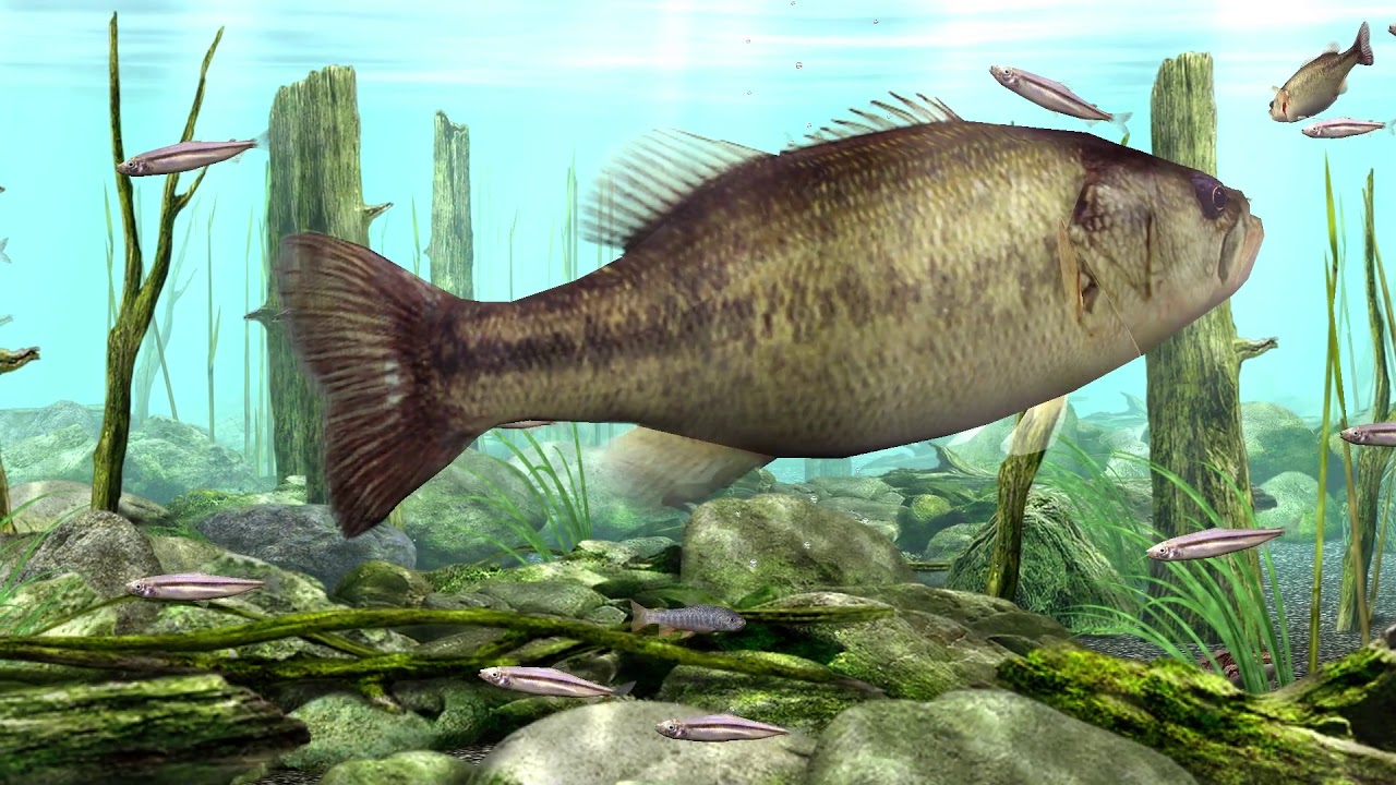 昼寝・仮眠用アラーム 1時間30分版（90min later Alarm for Napping)