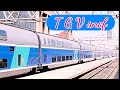 Oui TGV SNCF high  speed train transports france 高速火车  (train à grande vitesse) 2020/08/01 #-#-$
