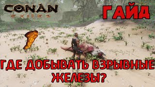 | Conan Exiles | Гайд | Где добыть взрывные железы в землях изгнанников |