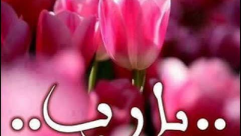 سورة النبأ بصوت جميل جدآ