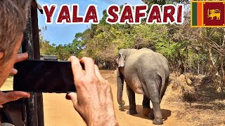 What Can You See at YALA National Park SRI LANKA 🇱🇰