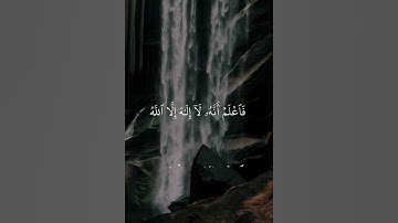 القارئ/عبدالمحسن الضباح#القرآن_الكريم #السعودية #saudi #مصر