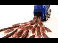 Monster Insects,centipedes,cockroaches Go Into The Garbage truck はたらくくるま ゴミ収集車