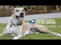 USPS Informed Delivery Fetches Results