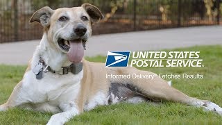 USPS Informed Delivery Fetches Results