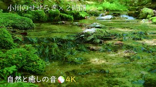 自然の音】やさしい水の音、小川のせせらぎ、癒し、睡眠、リラックス