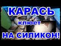 КАРАСЬ клюёт НА СИЛИКОН!Ловим со льда|Зимняя рыбалка 2020-21