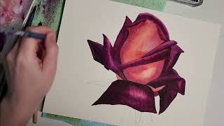 Rose Painting in Watercolor | Rose Watercolor Demonstration #rosepainting