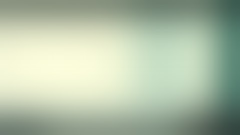 Recycle Bin in Tally.ERP9