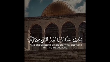 تلاوة هادئة وقصيرة  || القارئ : ماهر المعيقلي || سورة : الروم