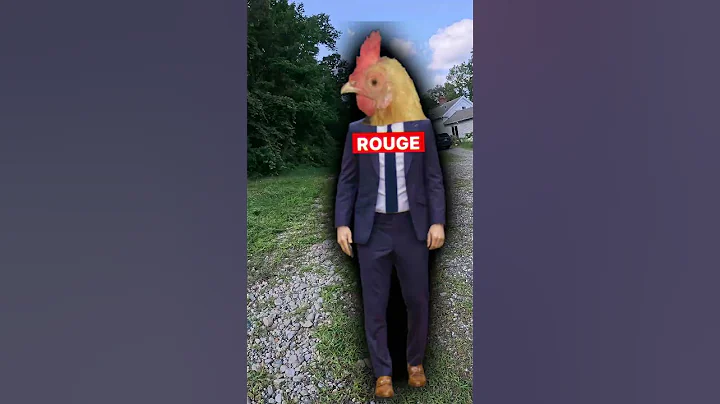 My Chickens are Smarter Than Me