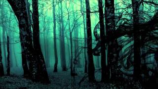 Watch Before The Dawn Seed video