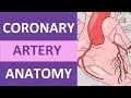 Coronary Arteries Anatomy Quiz