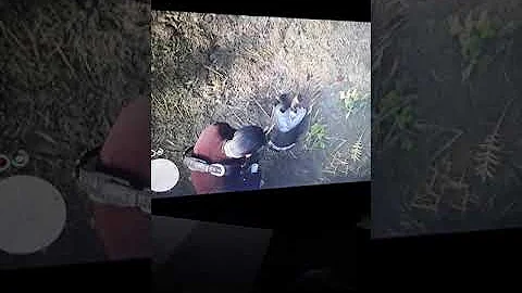 Perfect position