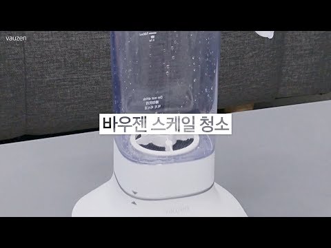 바우젠 전해수기, 스케일 청소 방법