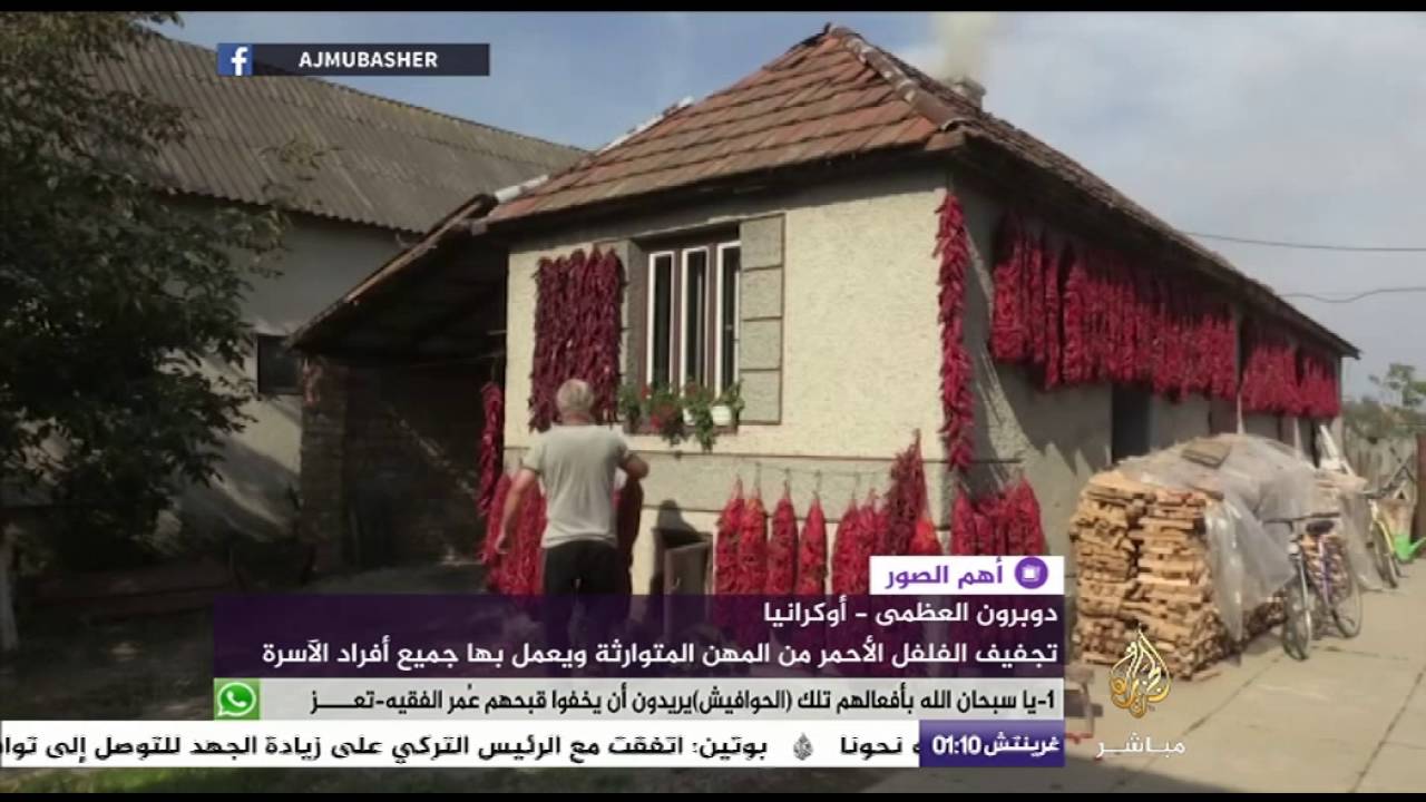 مهنة متوارثة.. بدء موسم تجفيف الفلفل الأحمر بأوكرانيا