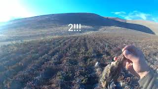 Bıldırcın Avı 4 Vuruş 2 Karavana Sadece Atışlar ?