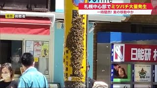 なんだこれ!?…電柱覆いつくす「大量のミツバチ」通行人に被害なし 養蜂業者が3000～5000匹回収 (21/06/16 19:40)