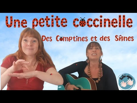 Une petite coccinelle
