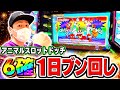 【新台全ツ】アニマルスロットドッチでまさかの設定6確定画面出現！ぶん回しじゃあああ！！[スマスロ][スロット][パチスロ]
