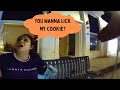 C Is For Cookie, That's Good Enough For Me