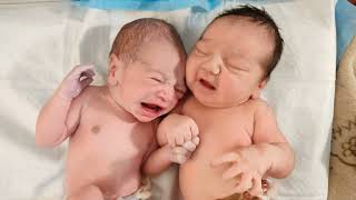 Most Cute and Chubby Twins Newborn babies Holding Hands after birth is so much Beautiful ❤️ #video