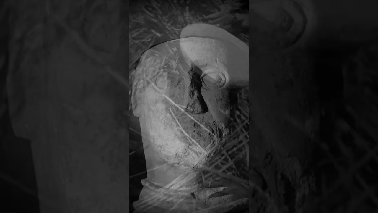 Le tifoserie non ci appartengono, la voglia di comprendere si. 