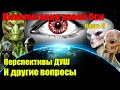 Вы сейчас все наблюдаете за ускоренными процессами вызревания душ#Эра Возрождения