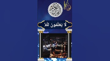 وَلَئِن سَأَلْتَهُم مَّنْ خَلَقَ | القارئ أسامة عطران