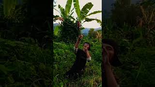 Download Lagu Mao pisang #lipsingshorts #duetromantis #parodilagu MP3 Download Lagu Mao pisang #lipsingshorts #duetromantis #parodilagu MP3