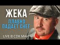 Жека (Евгений Григорьев) - Плавно падает снег