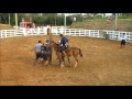 Rodeio de Charqueadas 2016 - Classificatórias na Arena