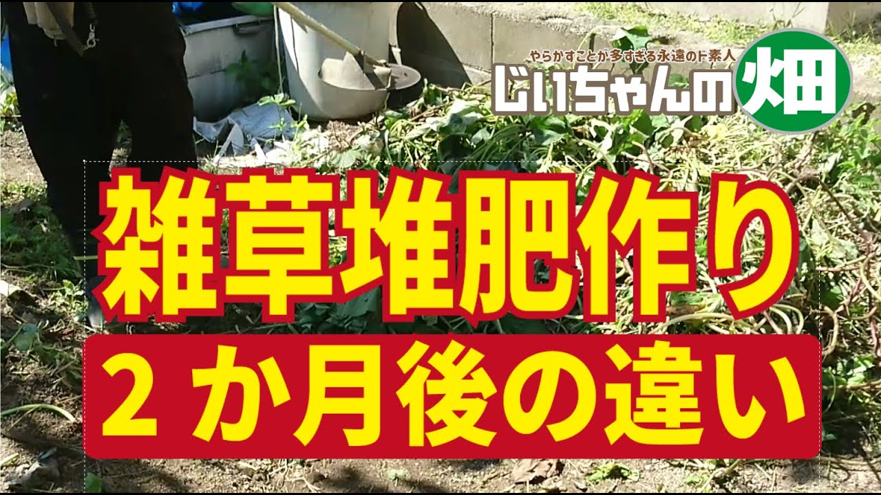 雑草堆肥作りと残渣処理。平積みと穴埋めでの堆肥作り、2か月後どうなったかを、ビフォー、アフターで検証　10/02