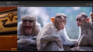 Full Page Image Slider with HTML, CSS, and JavaScript | Sleek and Responsive Design