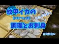 【モンゴウイカの捌き方】【紋甲イカの調理方】紋甲イカ→カミナリイカの調理とお刺身♪