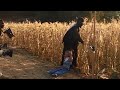 Jeepers Creepers 2 - Behind The Scenes #3 (2003) #JeepersCreepers2