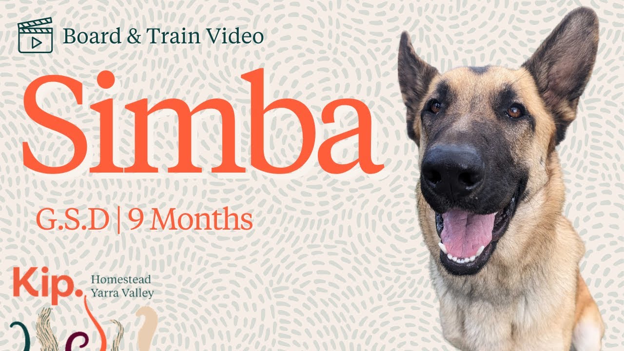 Simba Training Video - YouTube