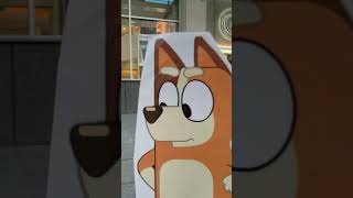 Fluttershy Vs Chili Heeler