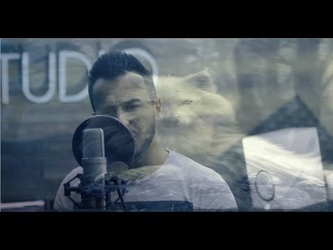 Haris Hrnčić -
