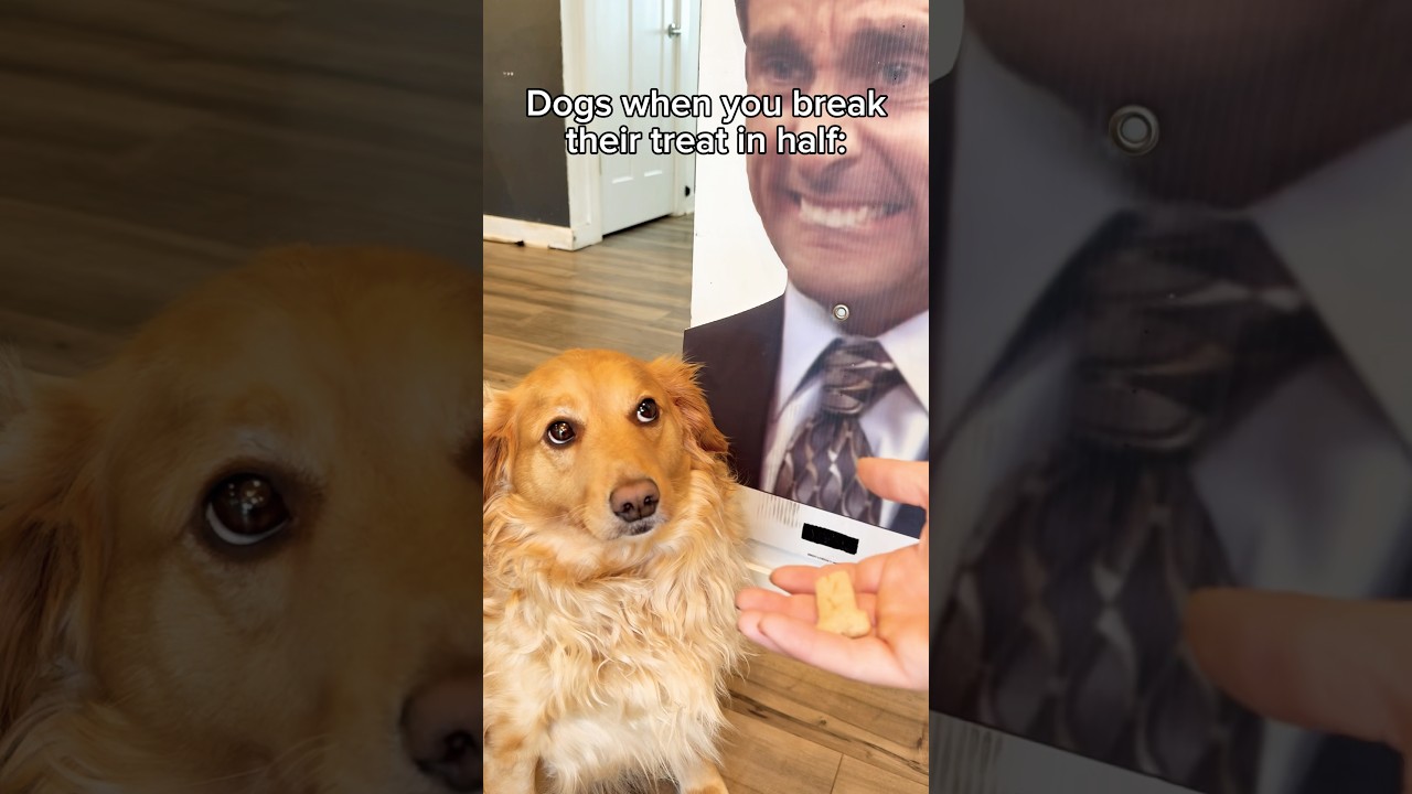 She really split every Oreo in half 😑 