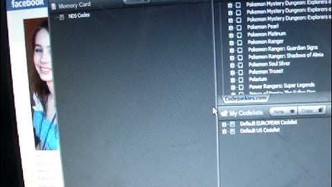 HELP! DSi ACITON REPLAY NEED FIXXED! (Read Description)