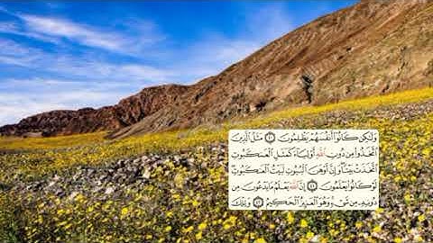401-page سعد الغامدي - -سورة العنكبوت AL-ANKABUT / L'ARAIGNÉE -29