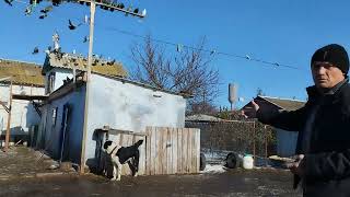 Херсонская обл - с.Загаряновка .Садовый Андрей.( 2023г- декабрь )И словом и делом.