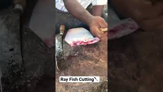 Ray Fish Cuts🔪