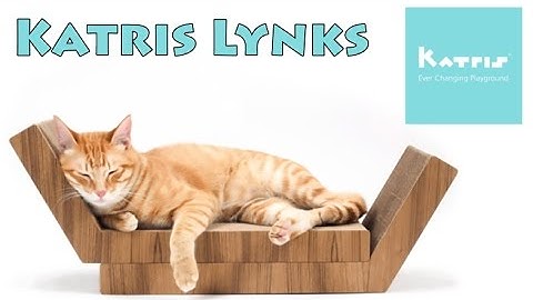 Cat Scratcher Lynks from Katris