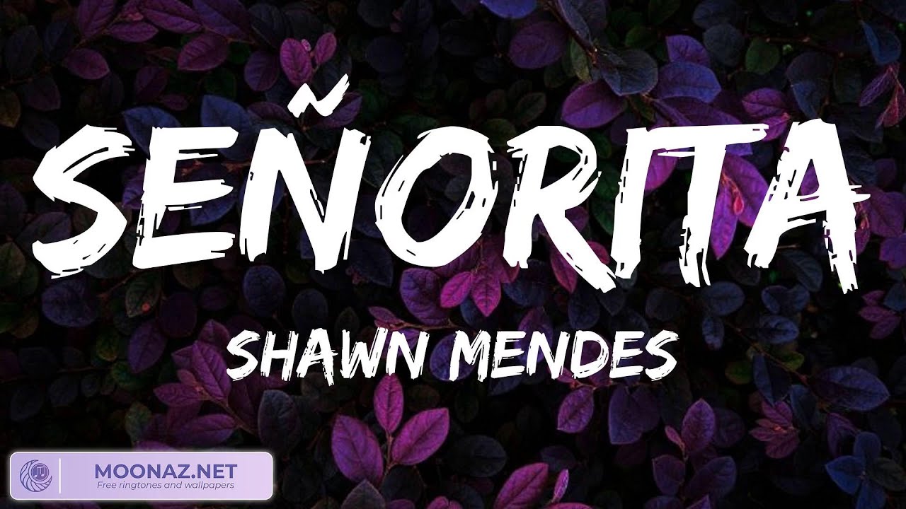 Señorita - Shawn Mendes | Ed Sheeran, One Direction, Ali Gatie (Lyrics) Señorita - Shawn Mendes | Ed Sheeran, One Direction, Ali Gatie (Lyrics)