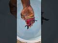 Amazing shivling drawing tattoo on water 💦#shortsvideo #viral
