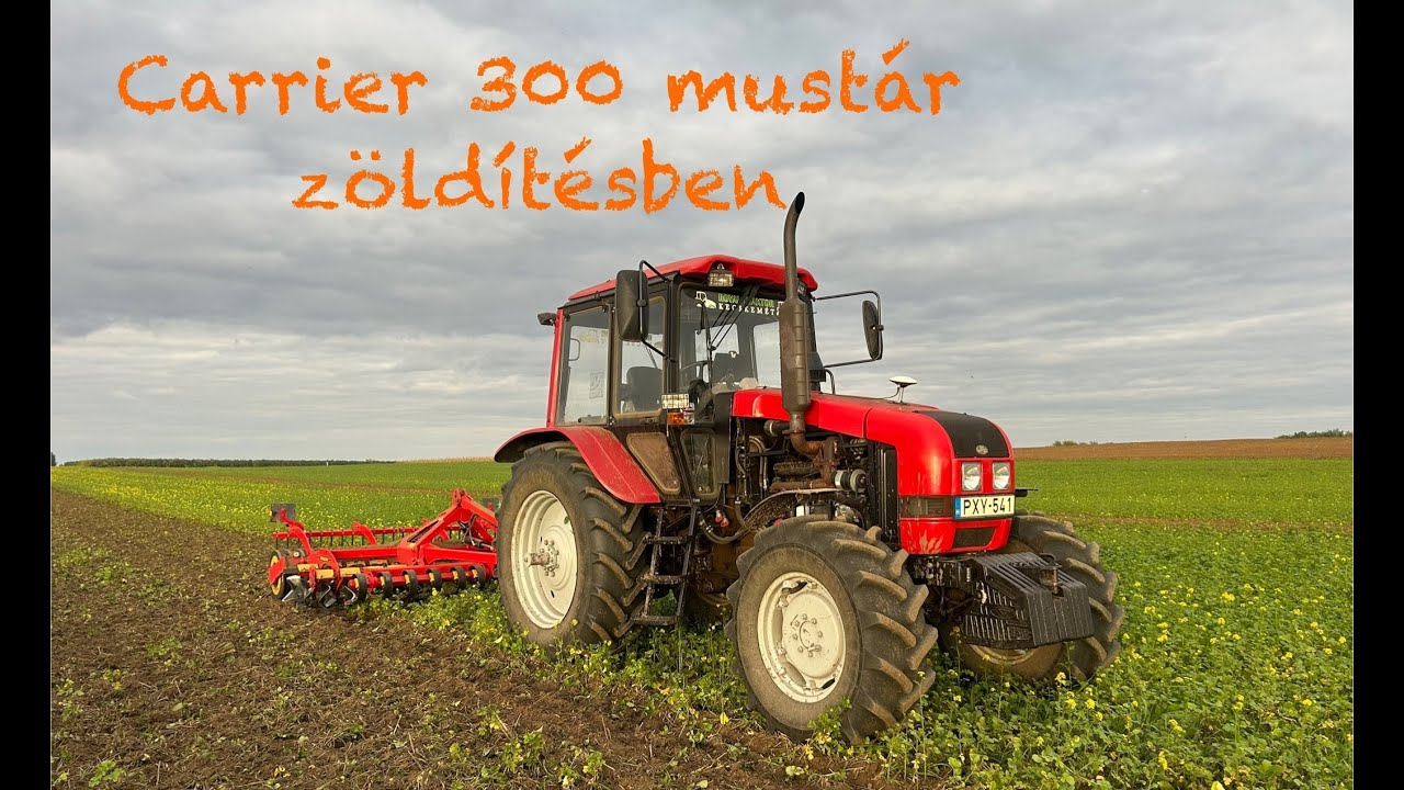 MTZ 1221.3 + Carrier 300, Cross Cutter Disc tárcsalap munkája a mustár zöldítésben.