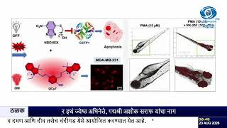 RK-251 Anti Cancer Drug IIT Guwahati: भारतीय शास्त्रज्ञांचे मोठे यश!; कर्करोगाच्या पेशी नष्ट करणारे