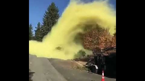 Falling tree leads to pollen bomb